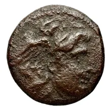 Seleucus I Nicator obv