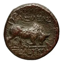 Seleucus I Nicator rev