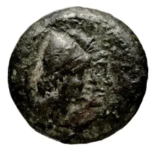 Seleucus II Callinicus obv