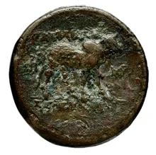 Seleucus II Callinicus rev