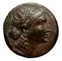 Seleucus II Callinicus obv