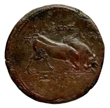 Seleucus II Callinicus rev