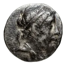 Seleucus II Callinicus obv