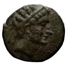 Seleucus II Callinicus obv