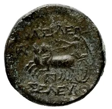 Seleucus II Callinicus rev