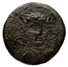 Seleucus II Callinicus obv