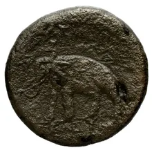 Seleucus II Callinicus rev