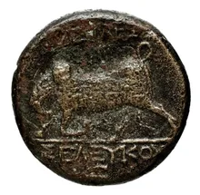 Seleucus I Nicator rev