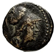 Seleucus II Callinicus obv