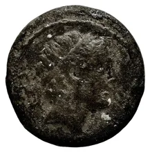 Seleucus II Callinicus obv