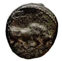 Seleucus I Nicator rev