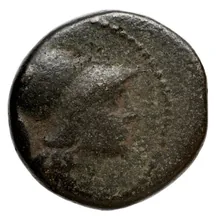 Seleucus II Callinicus obv