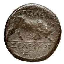Seleucus I Nicator rev