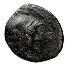 Seleucus II Callinicus obv