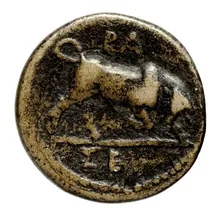 Seleucus I Nicator rev