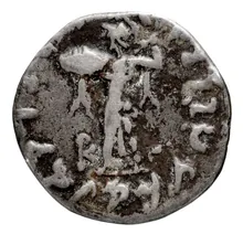 PoIyxenus, Bactria rev