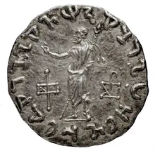 Peucolaus, Bactria rev