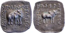 Apollodotus I of Bactria obv