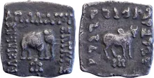 Apollodotus I of Bactria obv