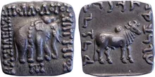 Apollodotus I of Bactria obv