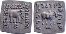 Apollodotus I of Bactria obv