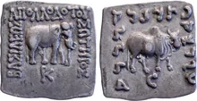 Apollodotus I of Bactria obv