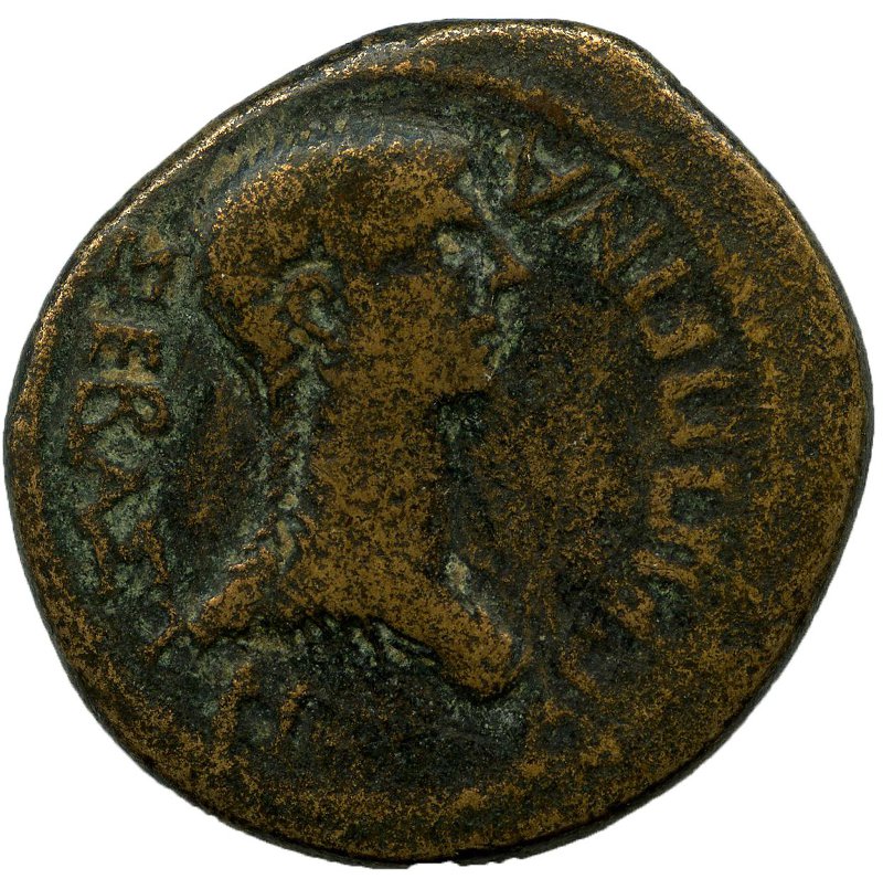 Римская империя · Tiberius · I в., реверс, Федеральное государственное бюджетное учреждение культуры "Государственный музей изобразительных искусств имени А.С. Пушкина"