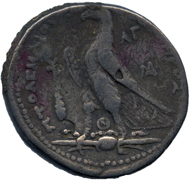 Египет · Tetradrachm · III в. до н. э., аверс, Федеральное государственное бюджетное учреждение культуры "Государственный музей изобразительных искусств имени А.С. Пушкина"