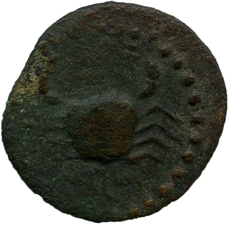 coin rev