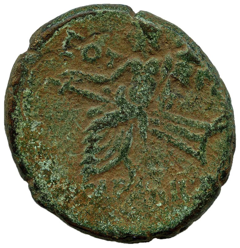 Античная монета · Trajan · I в., аверс, Федеральное государственное бюджетное учреждение культуры "Государственный музей изобразительных искусств имени А.С. Пушкина"