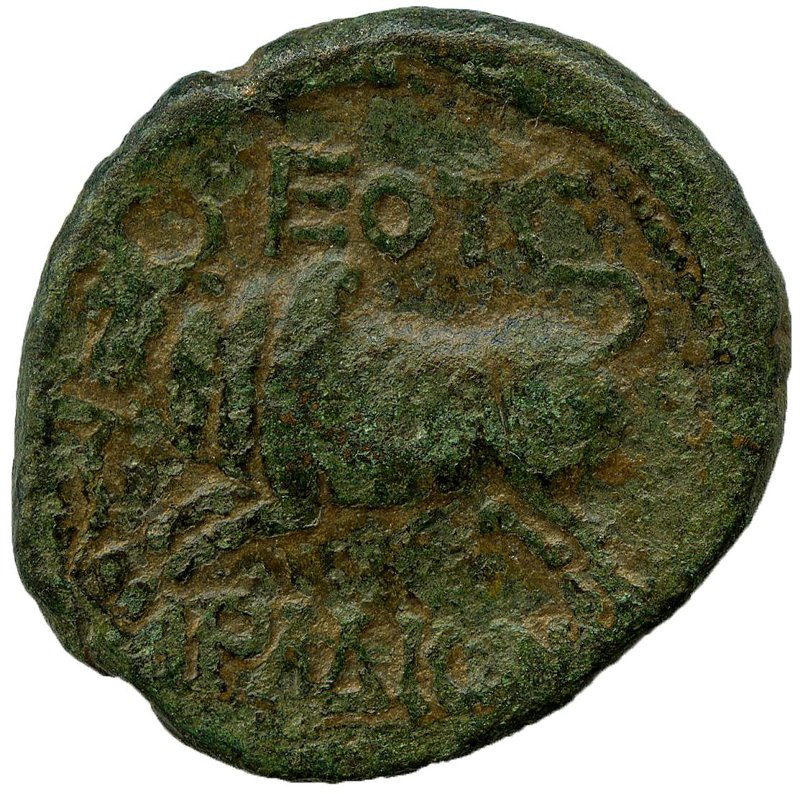 Античная монета · Trajan · I в., аверс, Федеральное государственное бюджетное учреждение культуры "Государственный музей изобразительных искусств имени А.С. Пушкина"