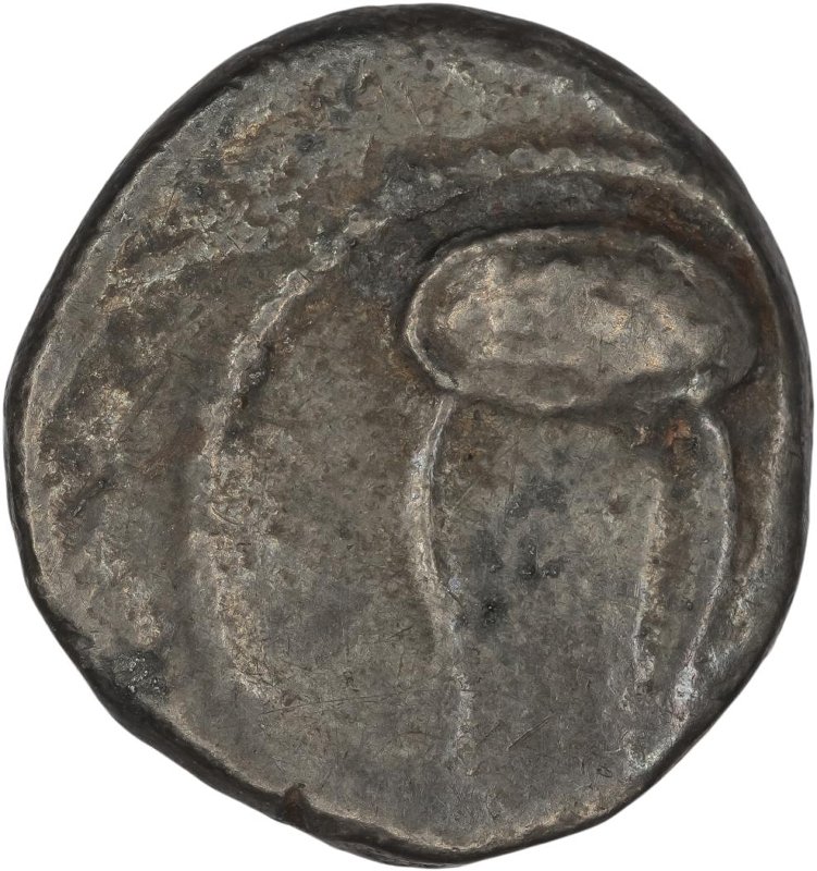 coin rev