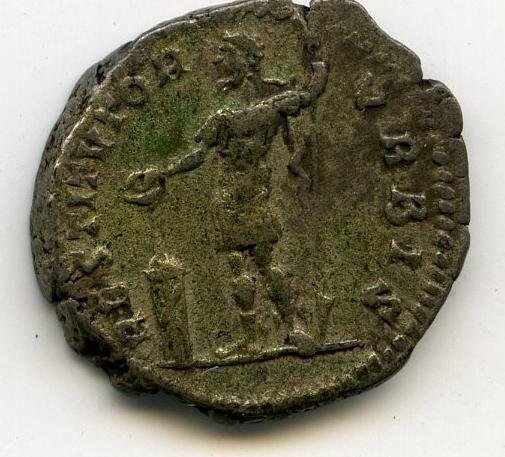 Римская империя · Septimius Severus · Denarius · II в., аверс, Федеральное государственное бюджетное учреждение культуры "Государственный музей изобразительных искусств имени А.С. Пушкина"