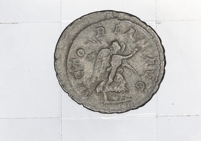 Римская империя · Maximinus Thrax · Denarius · II в., аверс, Федеральное государственное бюджетное учреждение культуры "Государственный музей изобразительных искусств имени А.С. Пушкина"