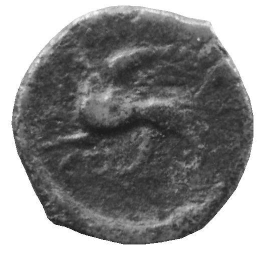 аверс Античная монета · Dichalkon · III в. до н. э.