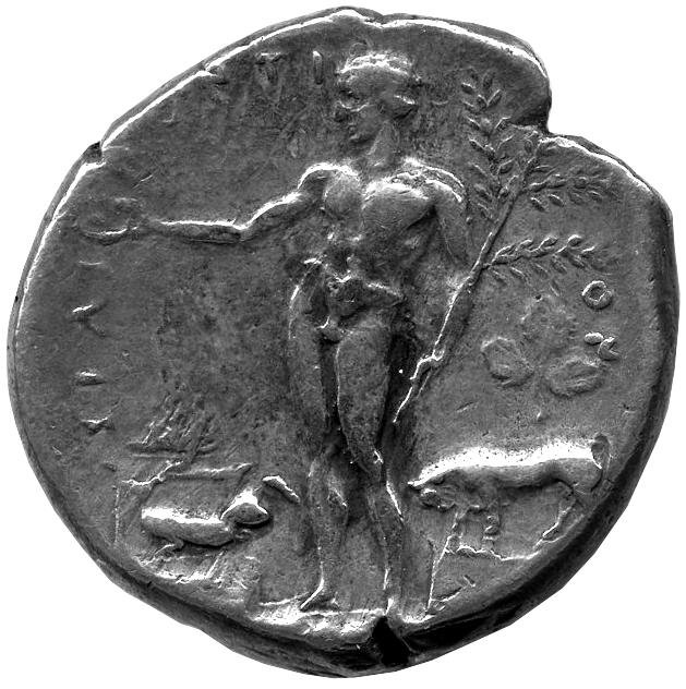 аверс Греция · Tetradrachm · V в. до н. э.