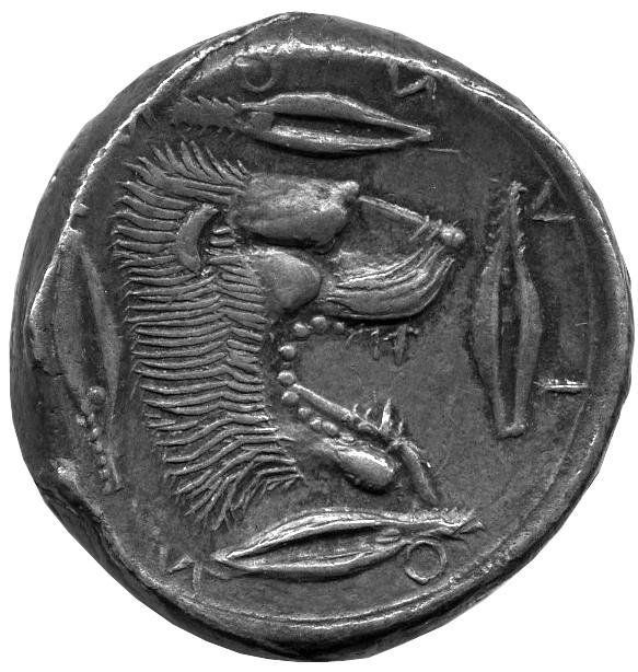 Греция · Tetradrachm · V в. до н. э., аверс, Федеральное государственное бюджетное учреждение культуры "Государственный музей изобразительных искусств имени А.С. Пушкина"