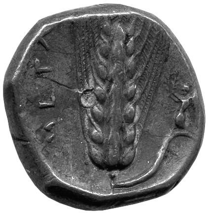 Античная монета · Stater · III в. до н. э., реверс, Федеральное государственное бюджетное учреждение культуры "Государственный музей изобразительных искусств имени А.С. Пушкина"
