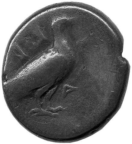 Греция · Didrachm · V в. до н. э., реверс, Федеральное государственное бюджетное учреждение культуры "Государственный музей изобразительных искусств имени А.С. Пушкина"