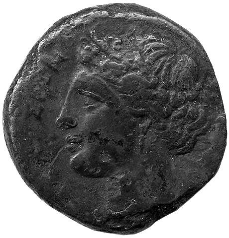 Греция · Agathocles of Syracuse · IV в. до н. э., аверс, Федеральное государственное бюджетное учреждение культуры "Государственный музей изобразительных искусств имени А.С. Пушкина"