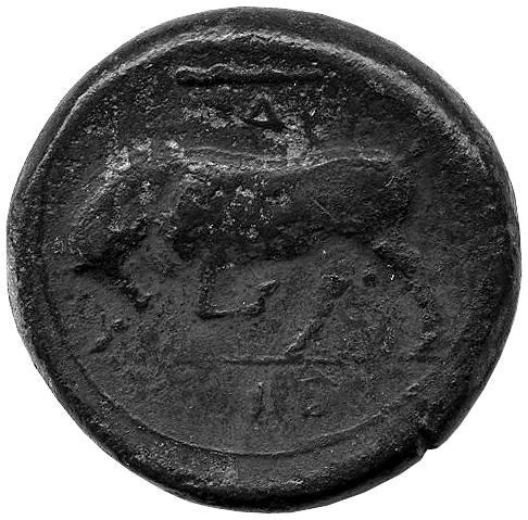 Греция · Agathocles of Syracuse · IV в. до н. э., аверс, Федеральное государственное бюджетное учреждение культуры "Государственный музей изобразительных искусств имени А.С. Пушкина"
