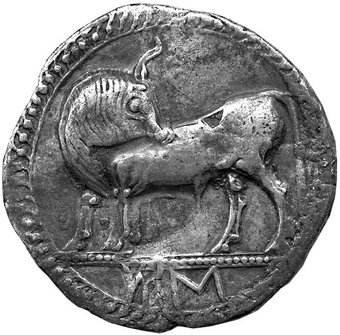 coin rev