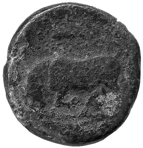 Греция · Agathocles of Syracuse · IV в. до н. э., реверс, Федеральное государственное бюджетное учреждение культуры "Государственный музей изобразительных искусств имени А.С. Пушкина"