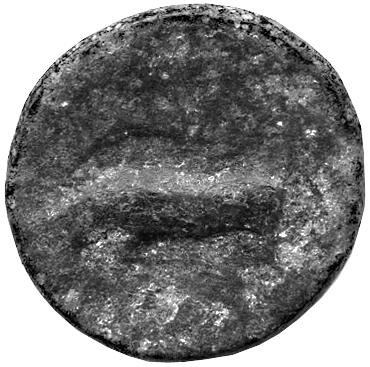 Греция · Agathocles of Syracuse · IV в. до н. э., аверс, Федеральное государственное бюджетное учреждение культуры "Государственный музей изобразительных искусств имени А.С. Пушкина"