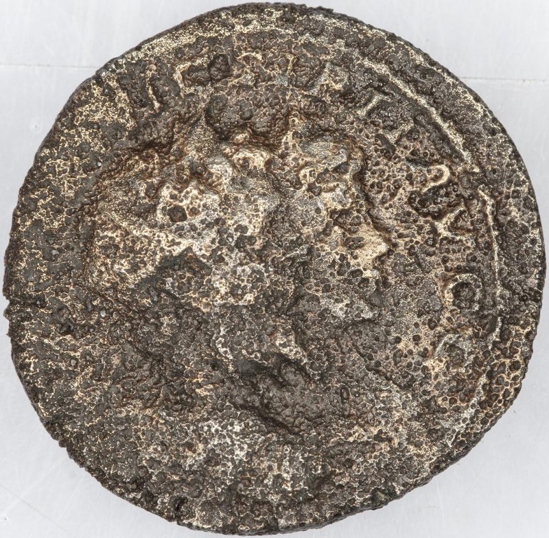 Римская империя · Septimius Severus · Denarius · II в., аверс, Федеральное государственное бюджетное учреждение культуры "Государственный музей изобразительных искусств имени А.С. Пушкина"