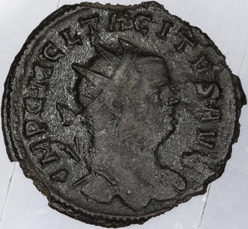 Римская империя · Tacitus · Antoninianus · II в., аверс, Федеральное государственное бюджетное учреждение культуры "Государственный музей изобразительных искусств имени А.С. Пушкина"