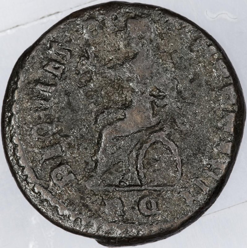 coin rev
