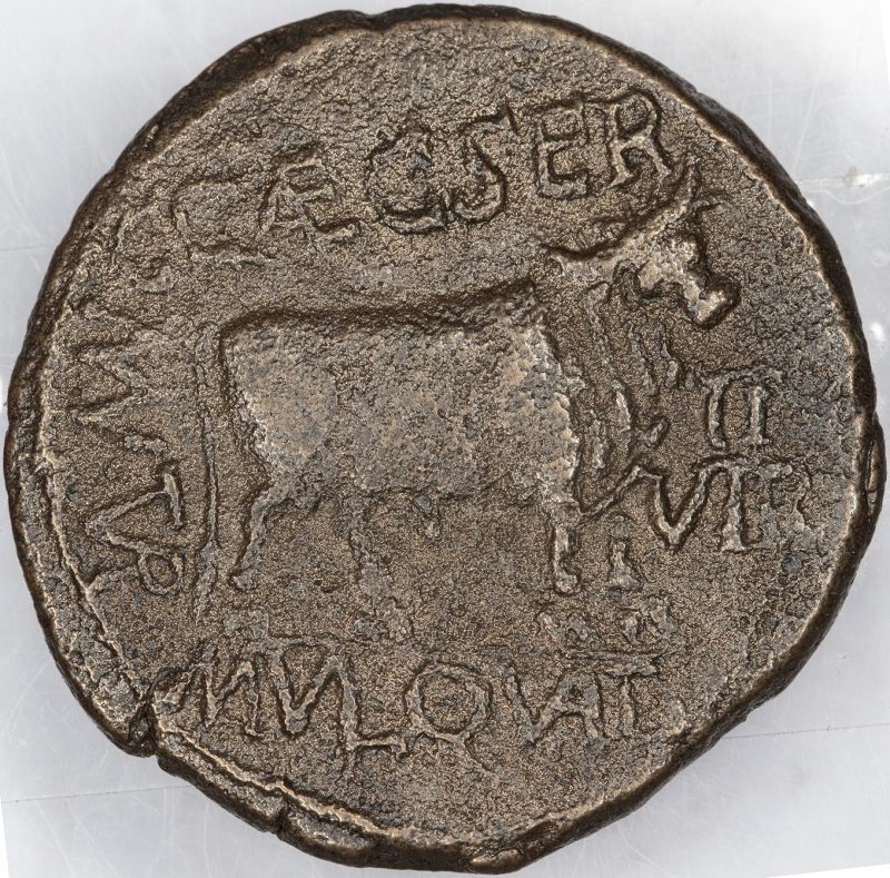 Римская империя · Tiberius · I в., реверс, Федеральное государственное бюджетное учреждение культуры "Государственный музей изобразительных искусств имени А.С. Пушкина"