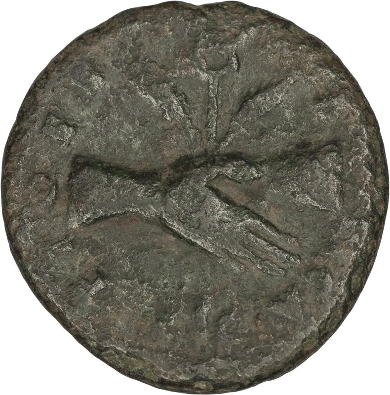 Римская империя · Vespasian · As · I в., реверс, Федеральное государственное бюджетное учреждение культуры "Государственный музей изобразительных искусств имени А.С. Пушкина"