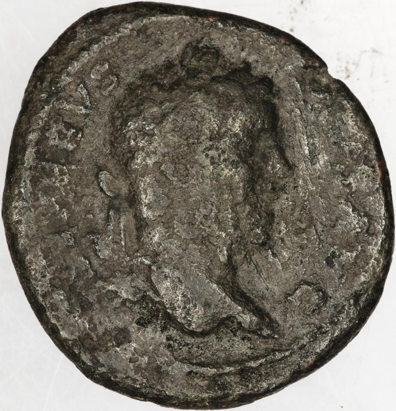 Римская империя · Septimius Severus · As · II в., аверс, Федеральное государственное бюджетное учреждение культуры "Государственный музей изобразительных искусств имени А.С. Пушкина"